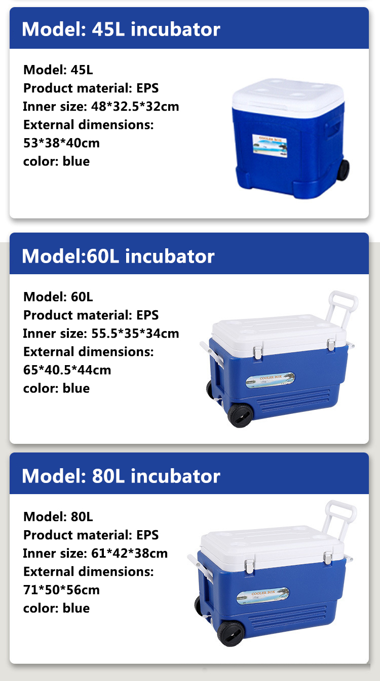 1690188042209225.jpg Refrigerador de plástico de 50L 1.jpg