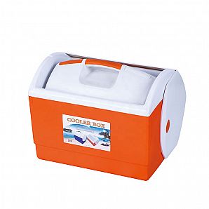 Conjunto de 10 caixas térmicas de plástico de 20L e 2L com PE EPS